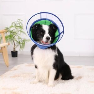 Dog Cone Soft For Pet Recovery Size 5 NEW